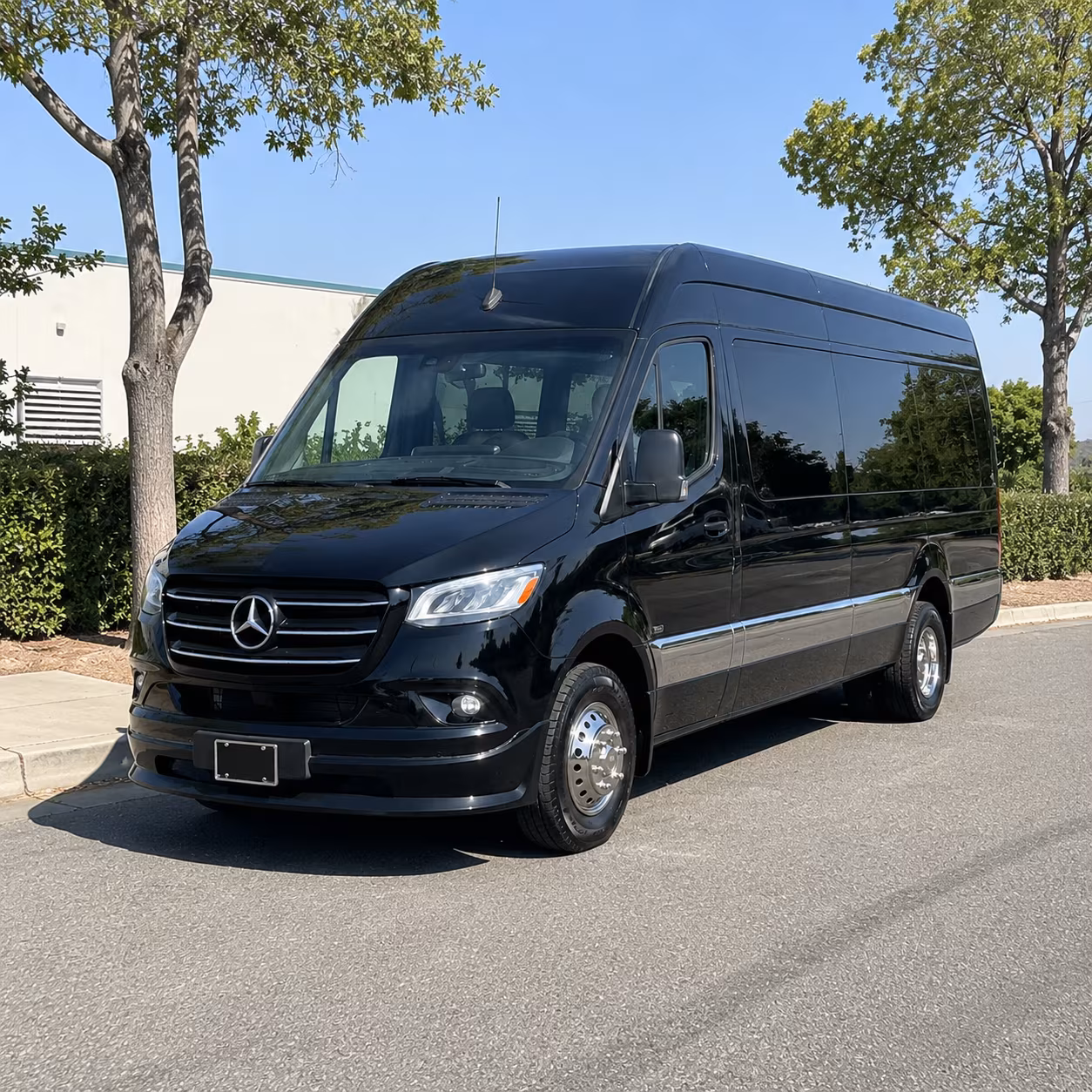 longview sprinter van with driver